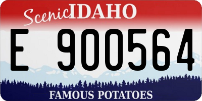 ID license plate E900564