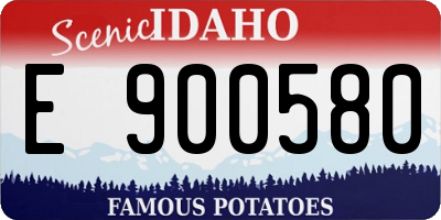 ID license plate E900580