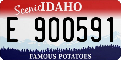 ID license plate E900591