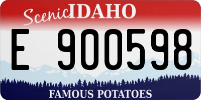 ID license plate E900598