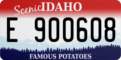 ID license plate E900608