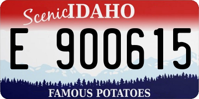 ID license plate E900615