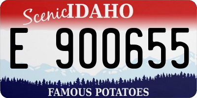 ID license plate E900655