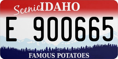 ID license plate E900665