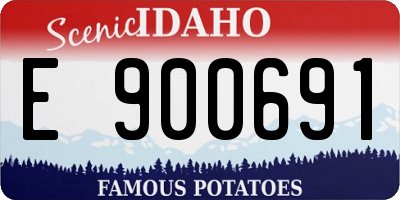 ID license plate E900691