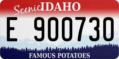 ID license plate E900730