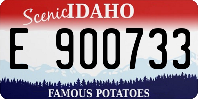 ID license plate E900733