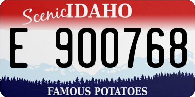ID license plate E900768