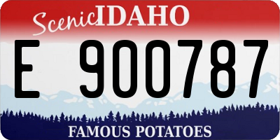 ID license plate E900787