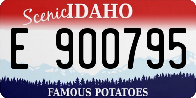 ID license plate E900795