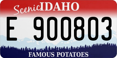 ID license plate E900803