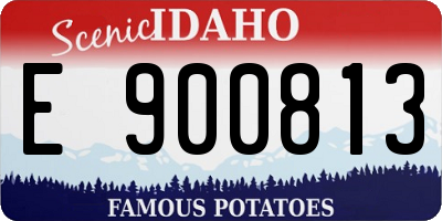 ID license plate E900813