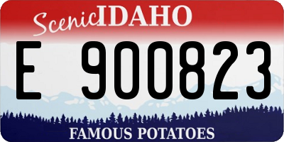 ID license plate E900823