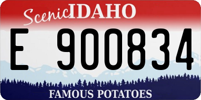 ID license plate E900834