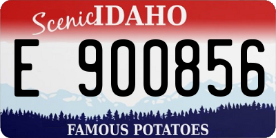 ID license plate E900856