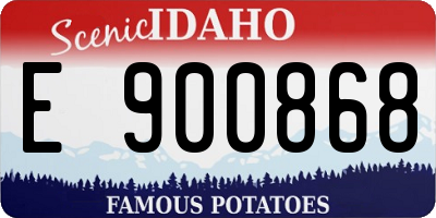 ID license plate E900868