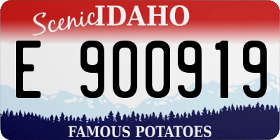 ID license plate E900919