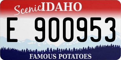 ID license plate E900953