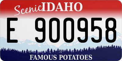 ID license plate E900958