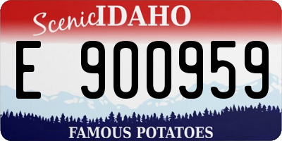 ID license plate E900959