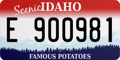 ID license plate E900981