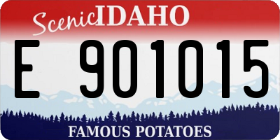 ID license plate E901015