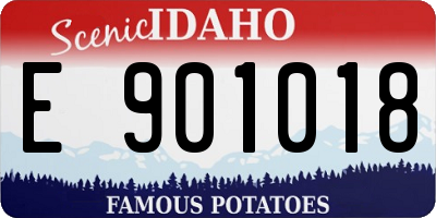 ID license plate E901018
