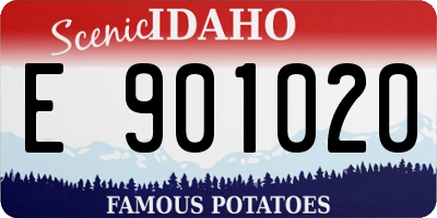 ID license plate E901020