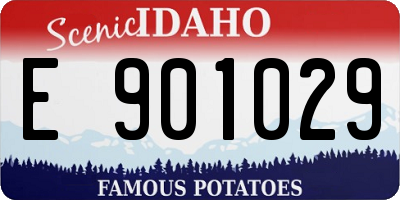 ID license plate E901029