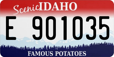 ID license plate E901035