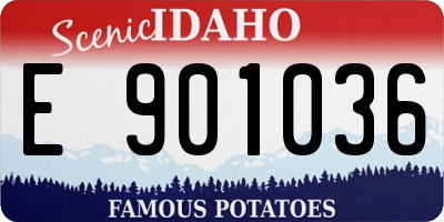 ID license plate E901036