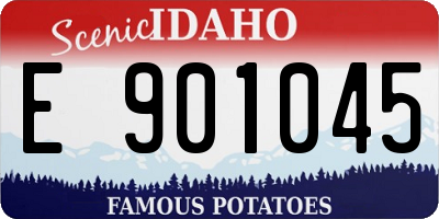 ID license plate E901045