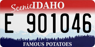 ID license plate E901046