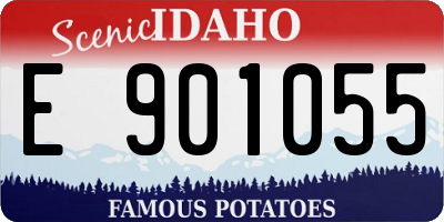 ID license plate E901055