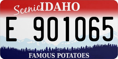 ID license plate E901065