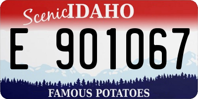 ID license plate E901067