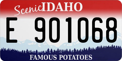 ID license plate E901068