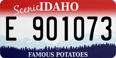 ID license plate E901073