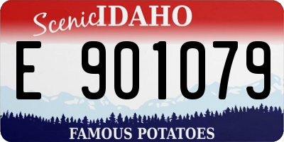 ID license plate E901079