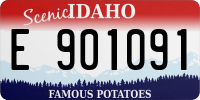 ID license plate E901091
