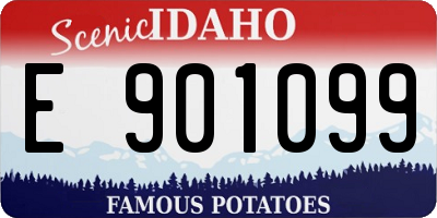 ID license plate E901099