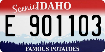 ID license plate E901103