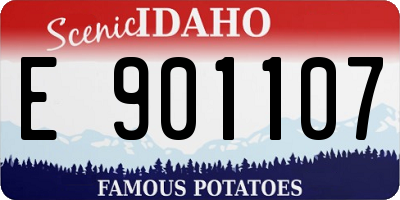 ID license plate E901107