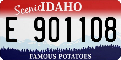 ID license plate E901108