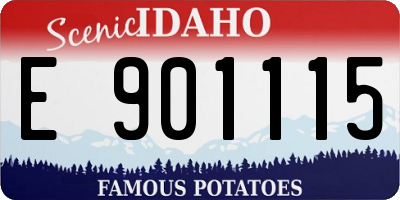 ID license plate E901115
