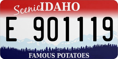 ID license plate E901119