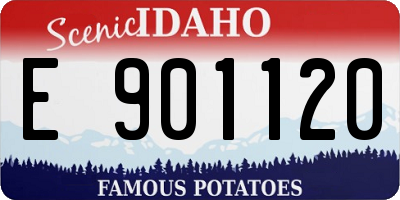 ID license plate E901120