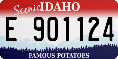 ID license plate E901124