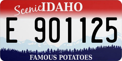 ID license plate E901125