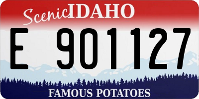 ID license plate E901127